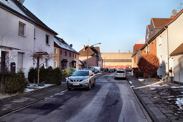 Ungelsheimer Straße (Siedlung Hüttenheim, Duisburg) / 20.01.2024