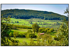 Südl. Schwarzwald