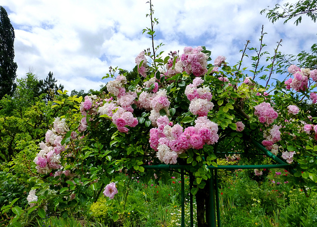 FR - Giverny - Claude Monet's House and Garden