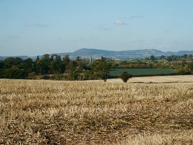 Looking back to the Church of St Andrew at Ombersley from Ombersley Park.