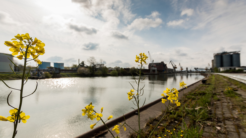 Hildesheimer Hafen