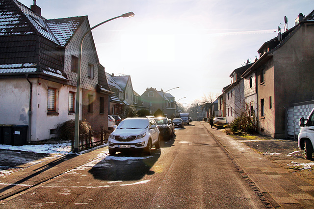 Ungelsheimer Straße (Siedlung Hüttenheim, Duisburg) / 20.01.2024