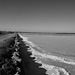 Marais salants de Castro Marim (Algarve).