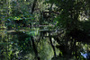 Loin de la jungle urbaine .