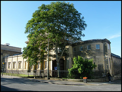 tree at the OUP