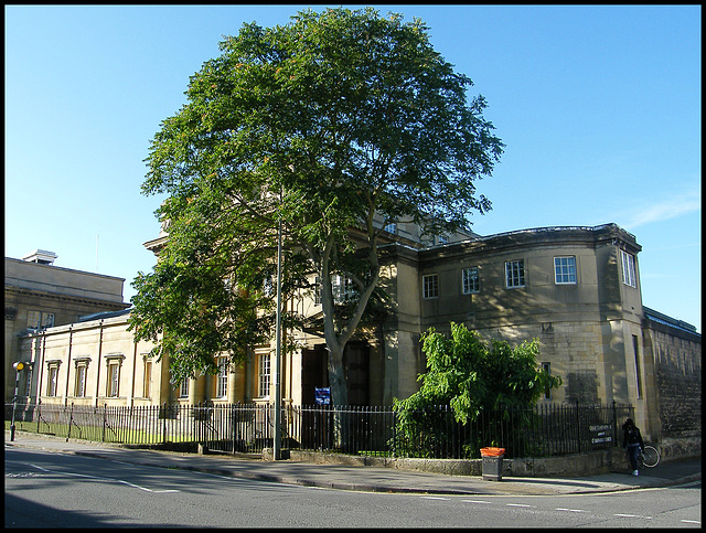 tree at the OUP