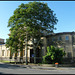 tree at the OUP