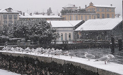 Verbania Intra  ,nevicata 2009