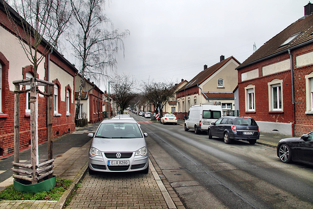 Kraspothstraße (Essen-Schonnebeck) / 21.01.2023