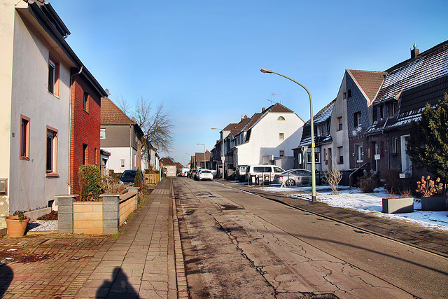 Ungelsheimer Straße (Siedlung Hüttenheim, Duisburg) / 20.01.2024