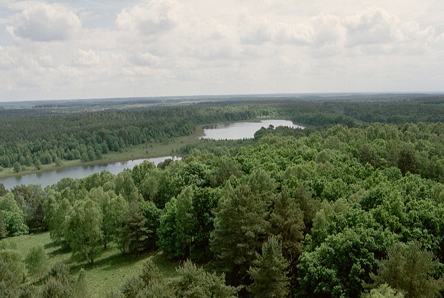 Blick vom Käflingsbergturm über den Müritz-Nationa