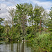 The Mill Pond, Langstone Harbour