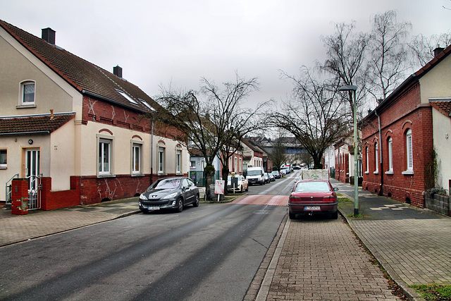 Kraspothstraße (Essen-Schonnebeck) / 21.01.2023