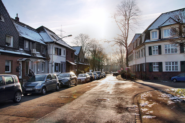 Ungelsheimer Straße (Siedlung Hüttenheim, Duisburg) / 20.01.2024