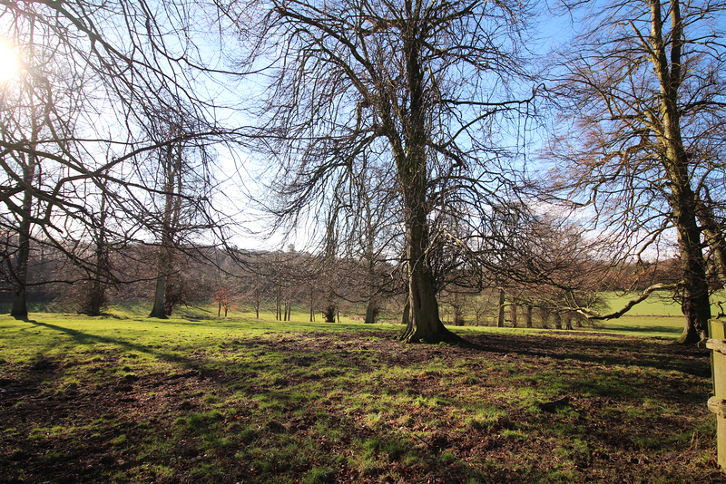 Parlington Park, West Yorkshire