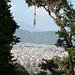 Kathmandu from Swayambhu Hill