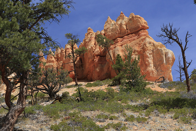 Bryce Canyon National Park