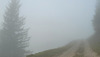 Der Weg im Nebel