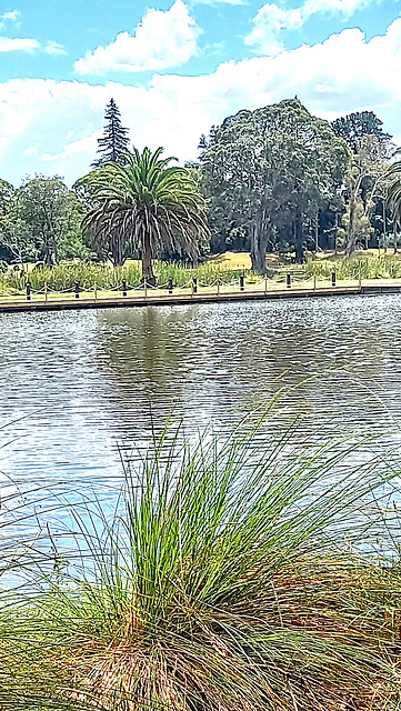 Across The Lake.