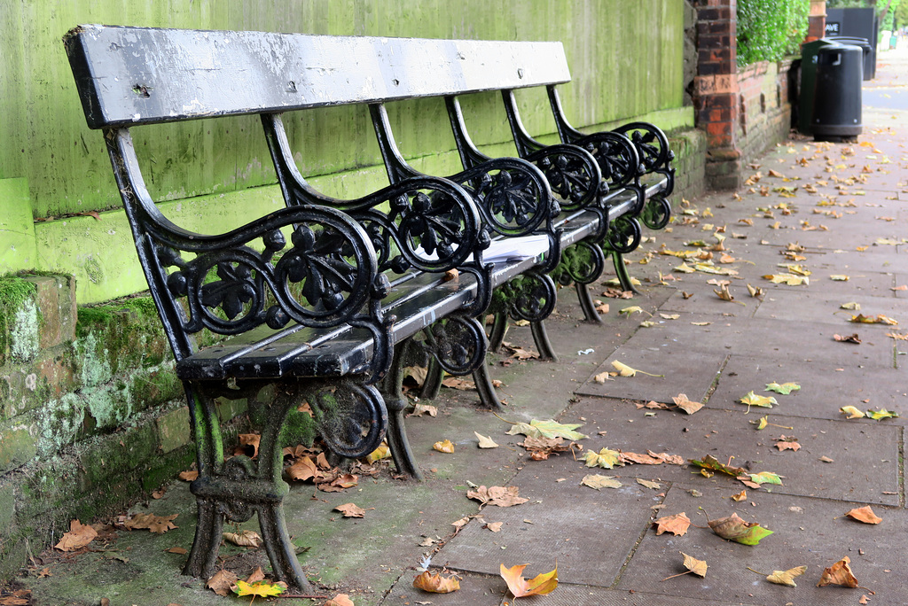 IMG 3674-001-Black Bench, Green Fence