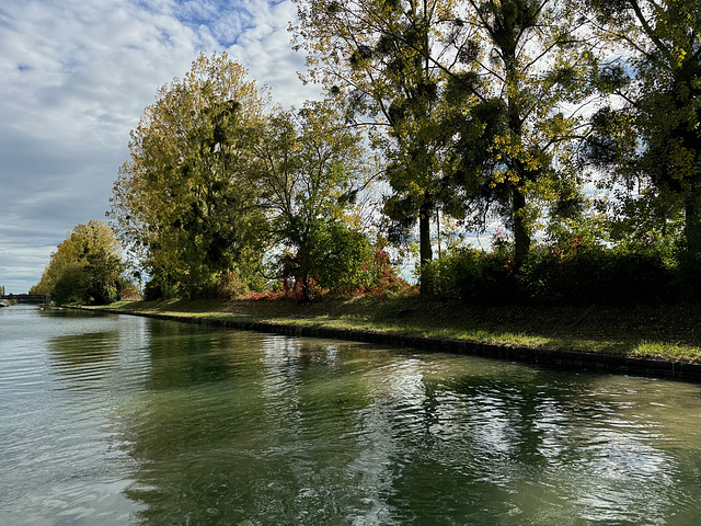 canal de la marne