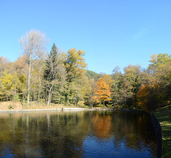 Bulgaria, Autumn 2024, The Lake in the Park of Bachinovo