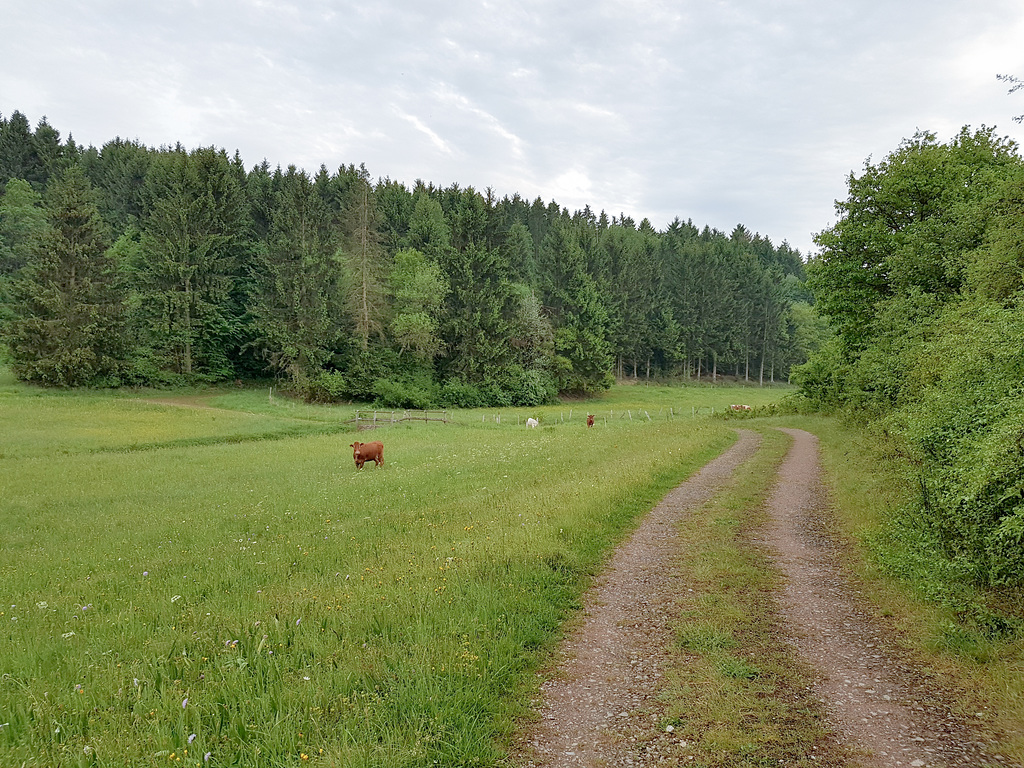 Blankenheim Uedelhoven