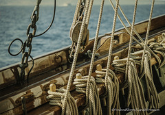 navigando verso la Corsica