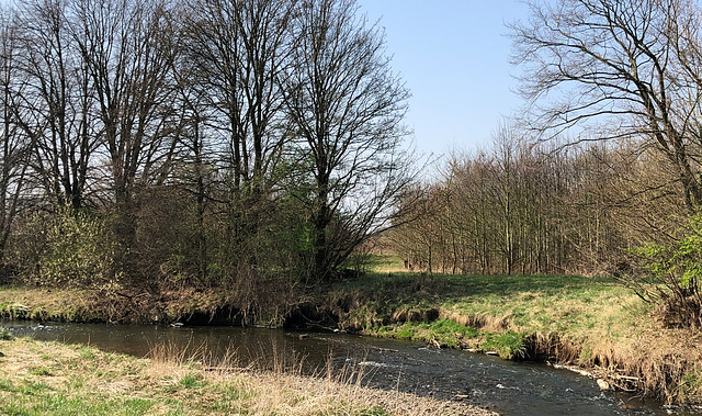 DE - Weilerswist - Frühling an der Erft