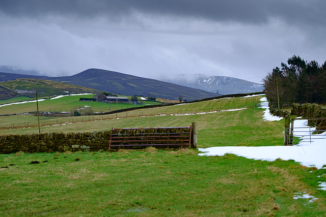 Snow disappearing from lower ground