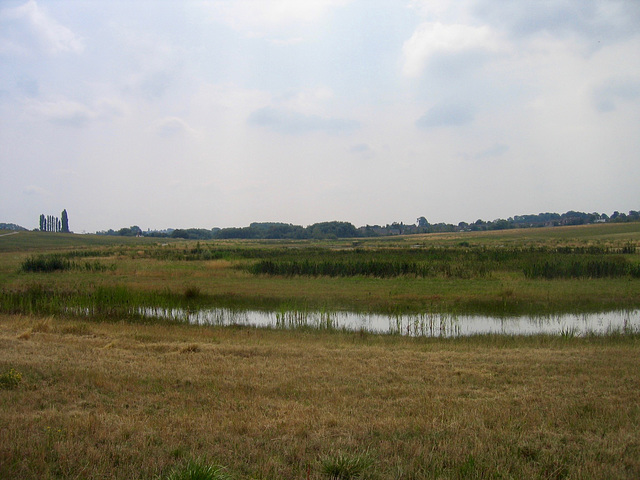 Looking across the former quarries towards Slackley Lane