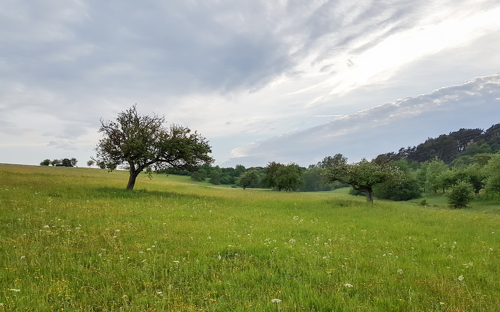 Blankenheim Uedelhoven