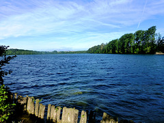 DE - Zülpich - Neffelsee