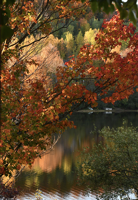 Le calme d’un jour d’automne