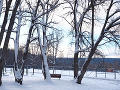 West Fraser Timber Park