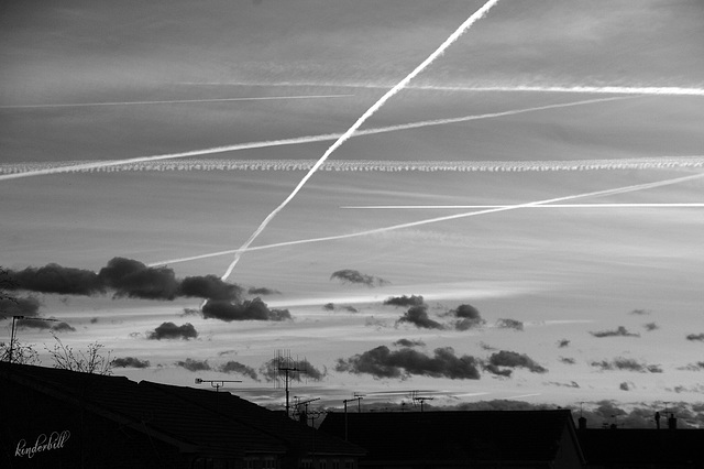 Busy Skies   /   Feb 2022