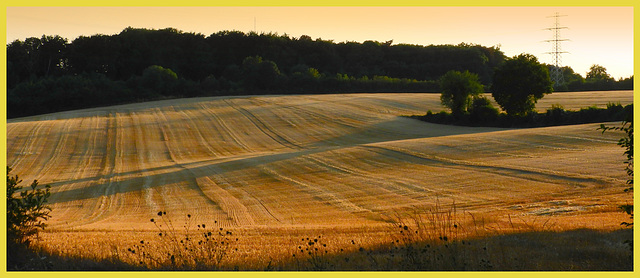 After harvest