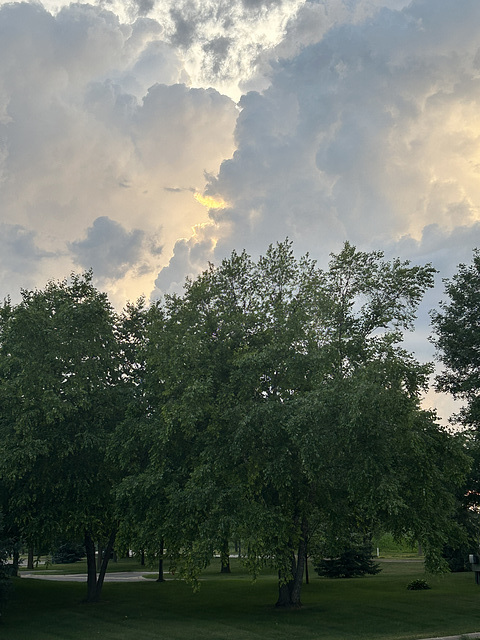 before the storm