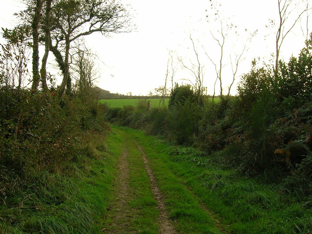 DSCN1073