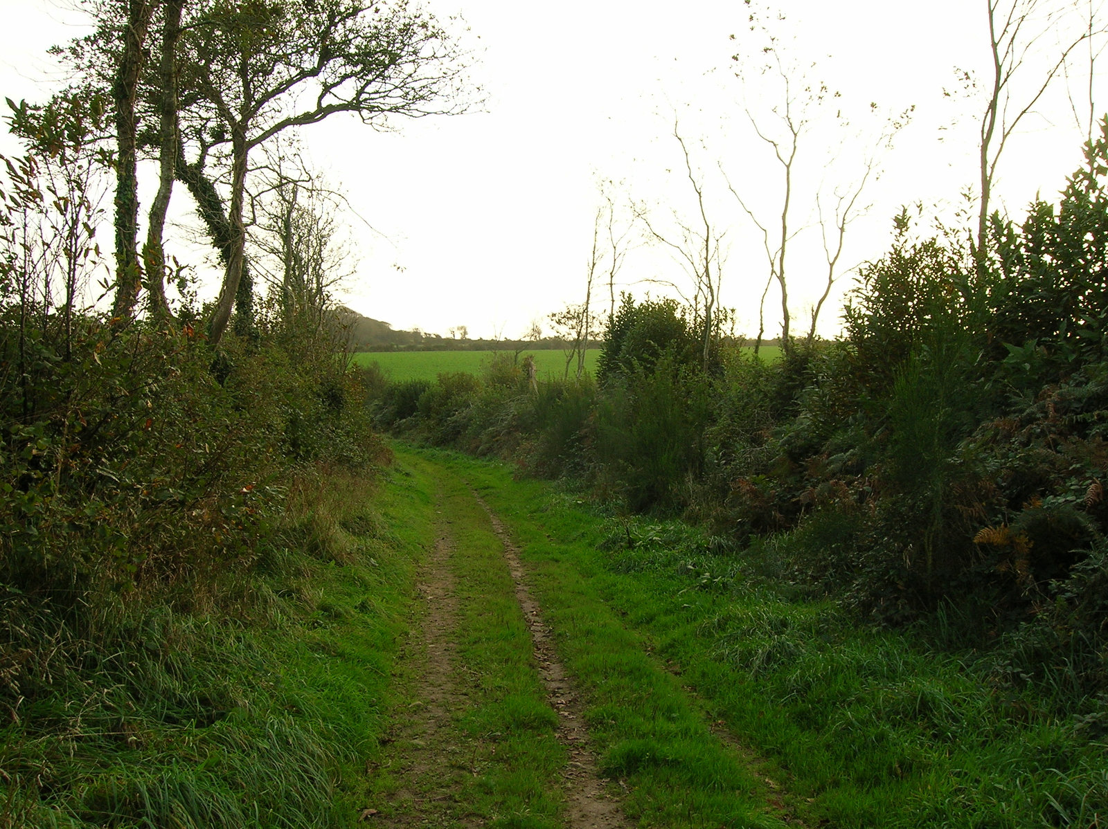 DSCN1073