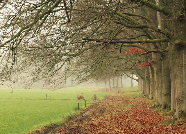 Colourful mornings