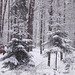 022 Winter in der Dresdner Heide