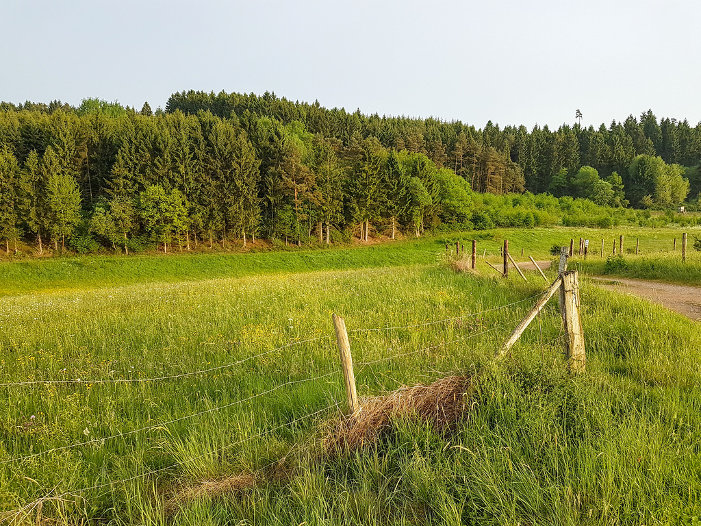 Blankenheim Uedelhoven