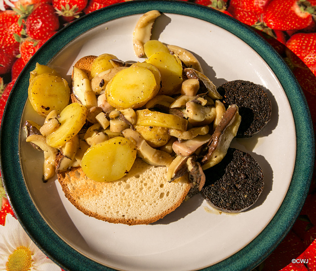 Boletus and Black Pudding!