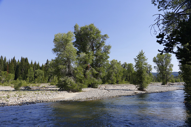 Lewis River