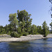 Lewis River