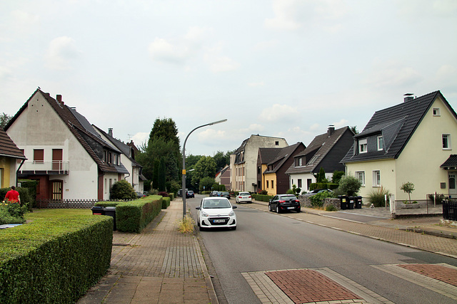 Dörpfeldstraße (Wattenscheid-Westenfeld) / 15.06.2020