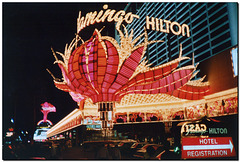 Las Vegas | Flamingo Hilton
