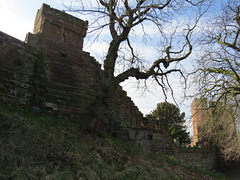 bonewaldsthorne's tower, chester