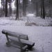 023 Winter in der Dresdner Heide